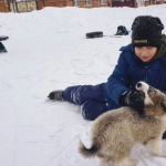 Экономный подход к игре в слот The Dog House с собаками