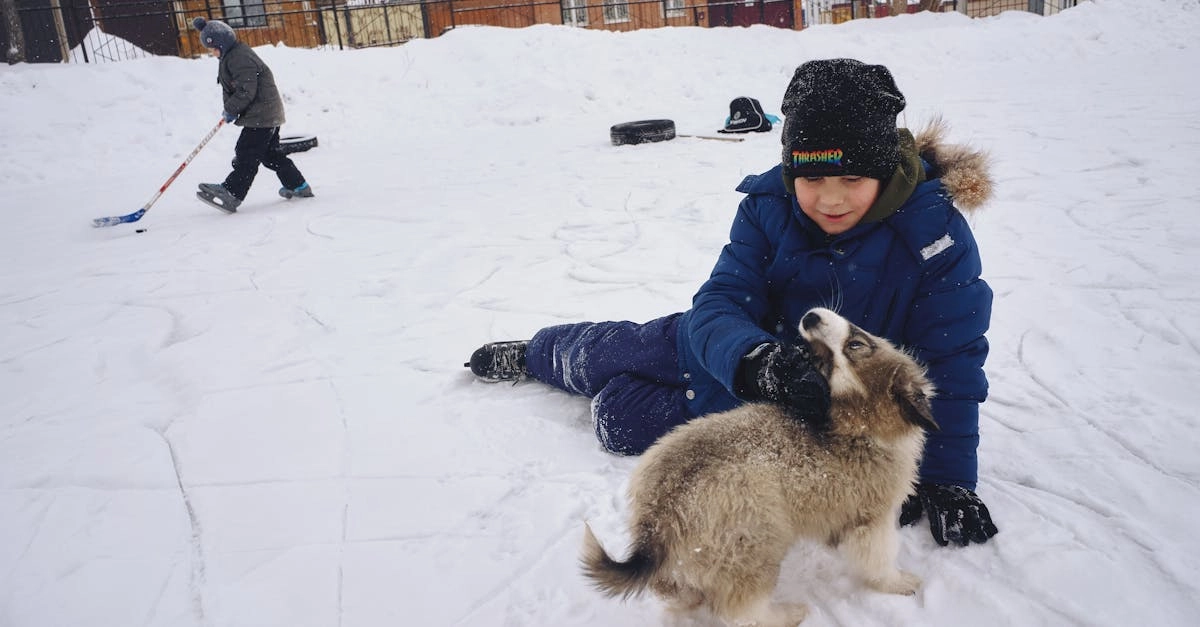 Экономный подход к игре в слот The Dog House с собаками