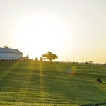 Экономный подход к игре в слот Bigger Barn House Bonanza