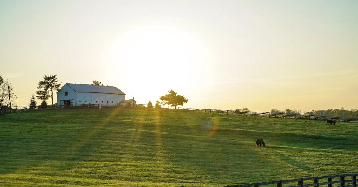 Экономный подход к игре в слот Bigger Barn House Bonanza